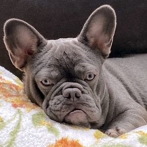 Meet your Posher, Donna